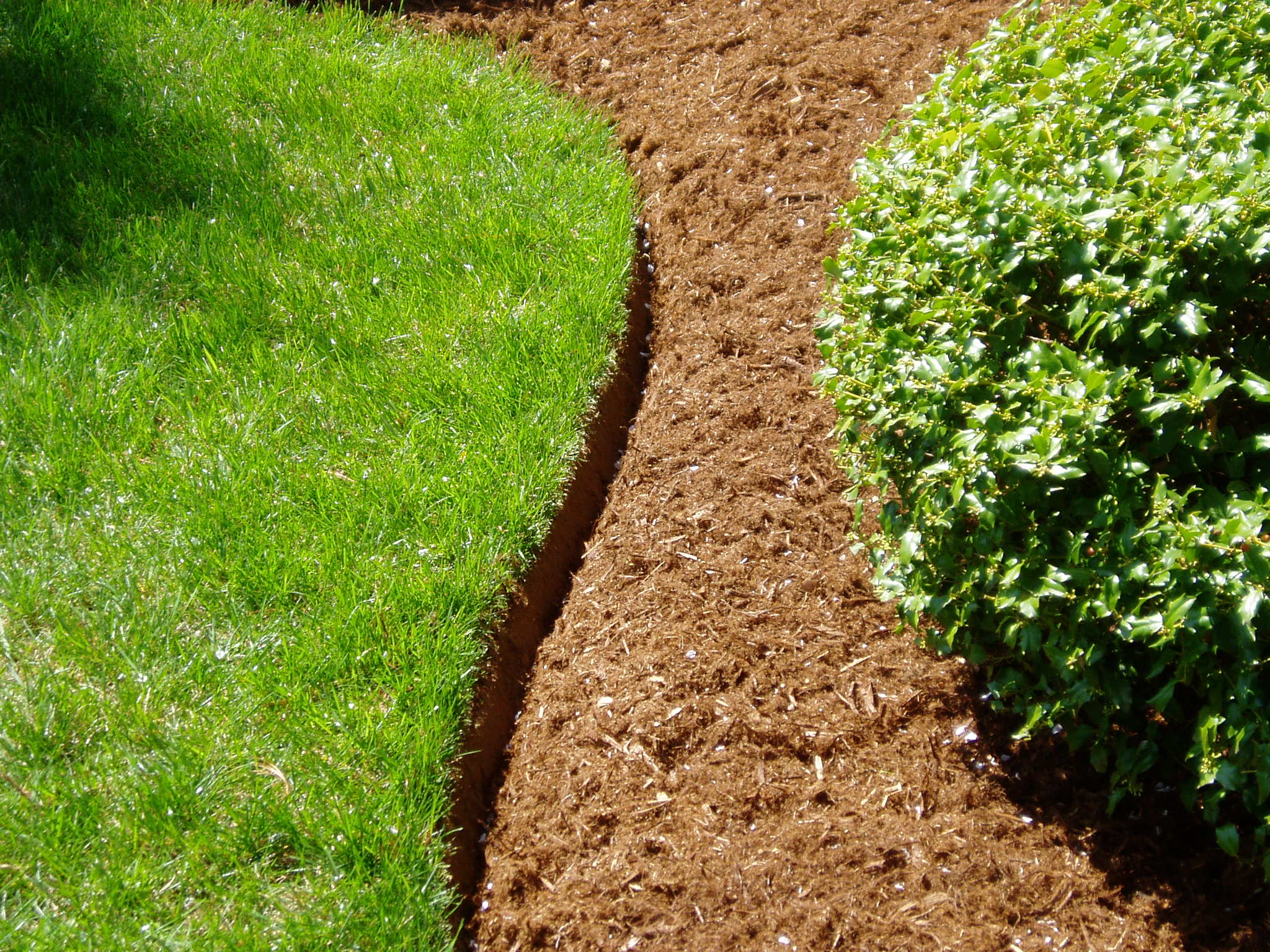 Landscape edging separating lawn from planting bed
