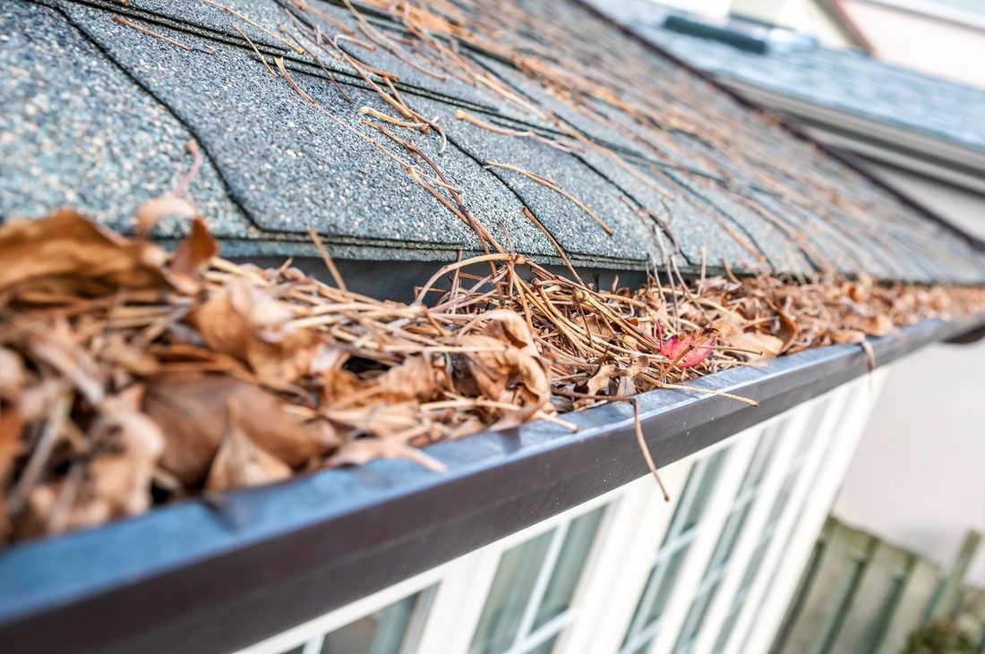 Gutter clogged with leaves being cleaned
