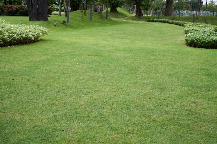 Freshly mown residential lawn with garden beds