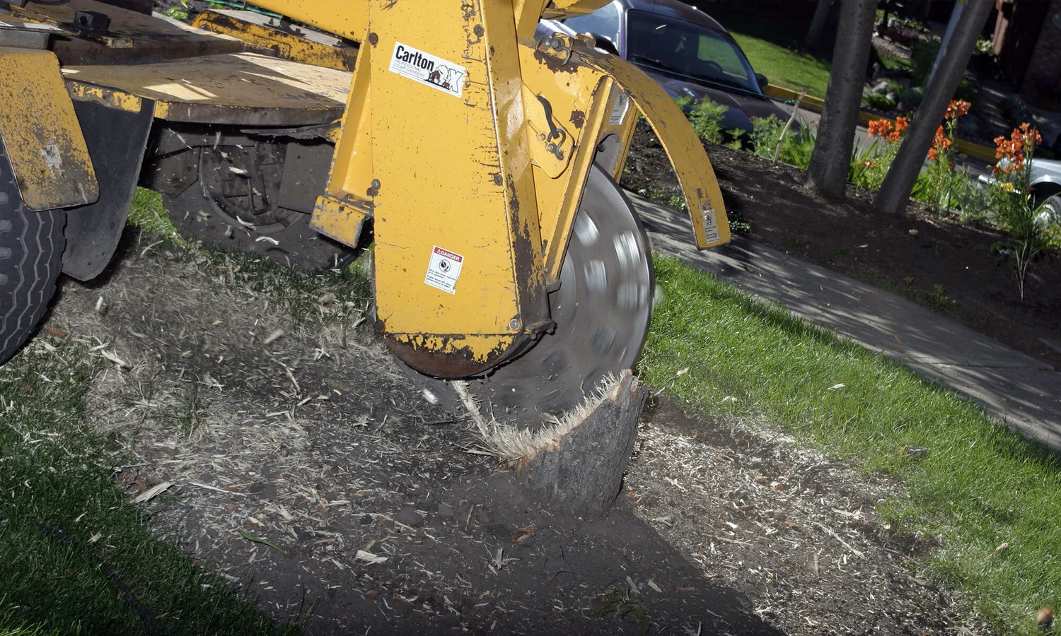Tree stump grinding and removal